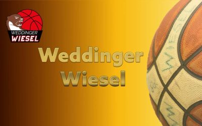 Basketball-Saison 2018-2019 – Platzierungen der Weddinger Wiesel