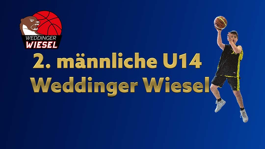 mu14 Bezirksliga B – VfB Hermsdorf 3 vs Weddinger Wiesel 2 (Basketball)