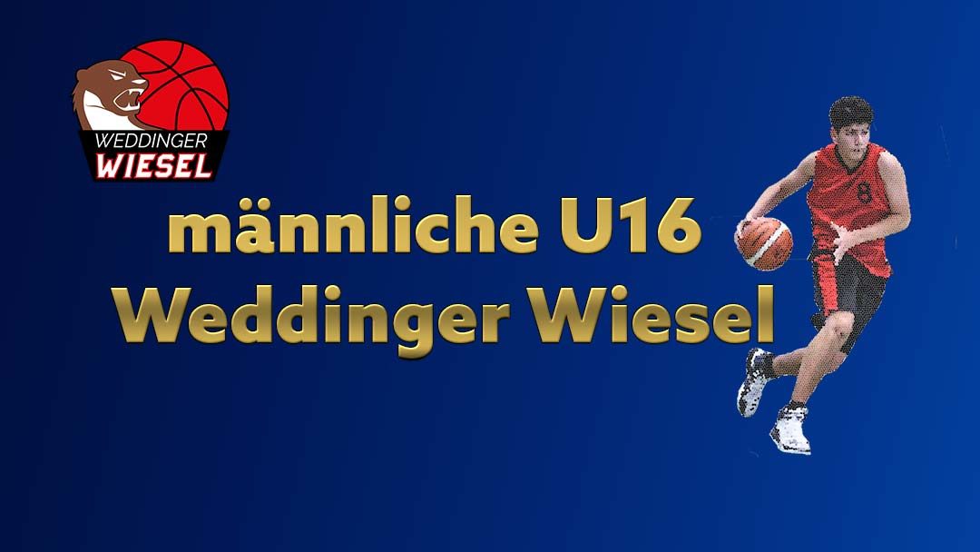 mu16 Landesliga A – Weddinger Wiesel 1 vs SCB Friedrichsfelde 1 (Basketball)