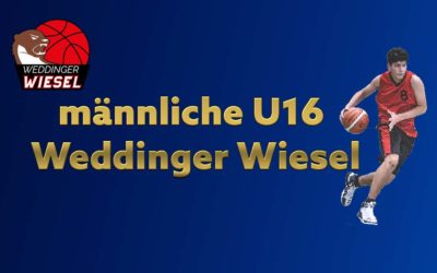 mU16 Landesliga A – Weddinger Wiesel 1 vs TuS Lichterfelde 3 (Basketball)