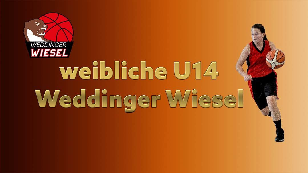 wU14 OL – Weddinger Wiesel 1 vs TSC Spandau 1 (Basketball)