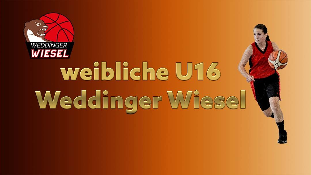 wu16 Landesliga A – Weddinger Wiesel 1 vs Freibeuter 2010 1 (Basketball)