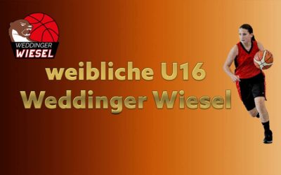 wu16 Landesliga 1 – Weddinger Wiesel 1 vs ALBA Berlin 2 (Basketball)