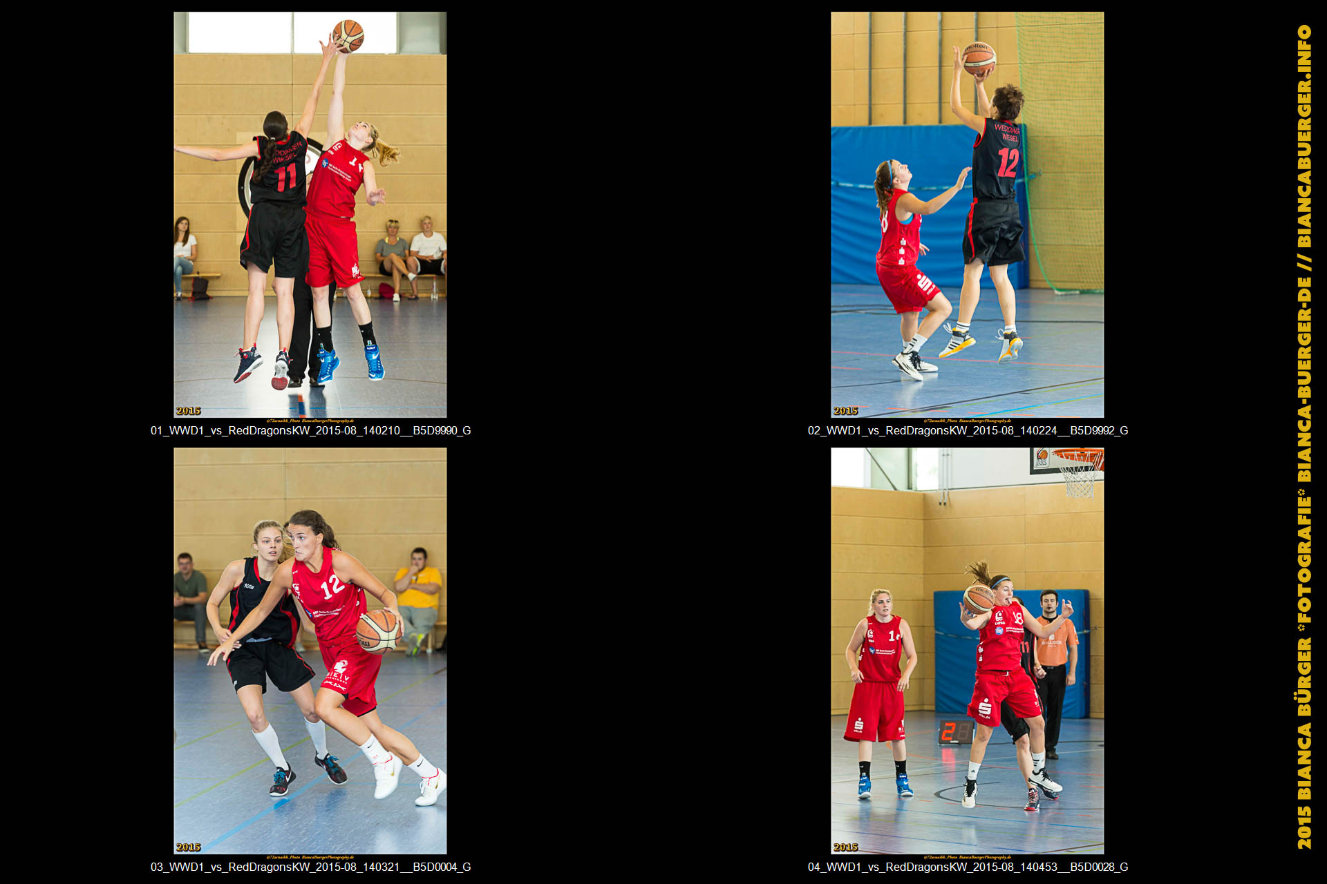 Testspiel - 1. Damen Weddinger Wiesel vs Red Dragons Königs Wusterhausen