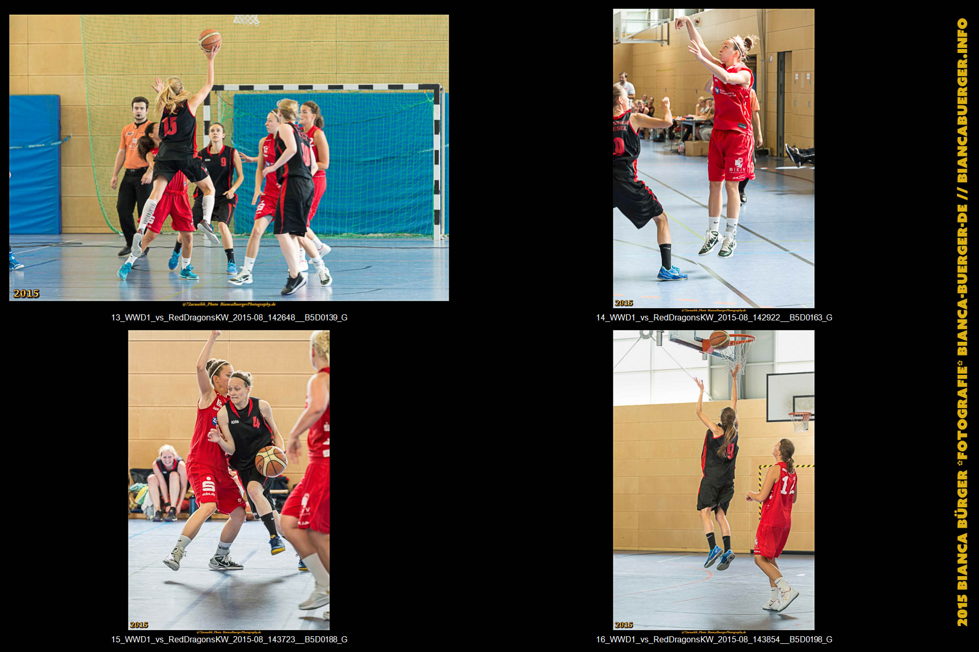 Testspiel - 1. Damen Weddinger Wiesel vs Red Dragons Königs Wusterhausen