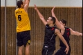 LLB - Berliner SC 1895 1 vs 1. Herren Weddinger Wiesel (Basketball) LLB - Berliner SC 1895 1 vs 1. Herren Weddinger Wiesel (Basketball)