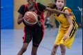 LL wu13 - WWwu13 vs ALBA Berlin 2 LL wu13 - WWwu13 vs ALBA Berlin 2