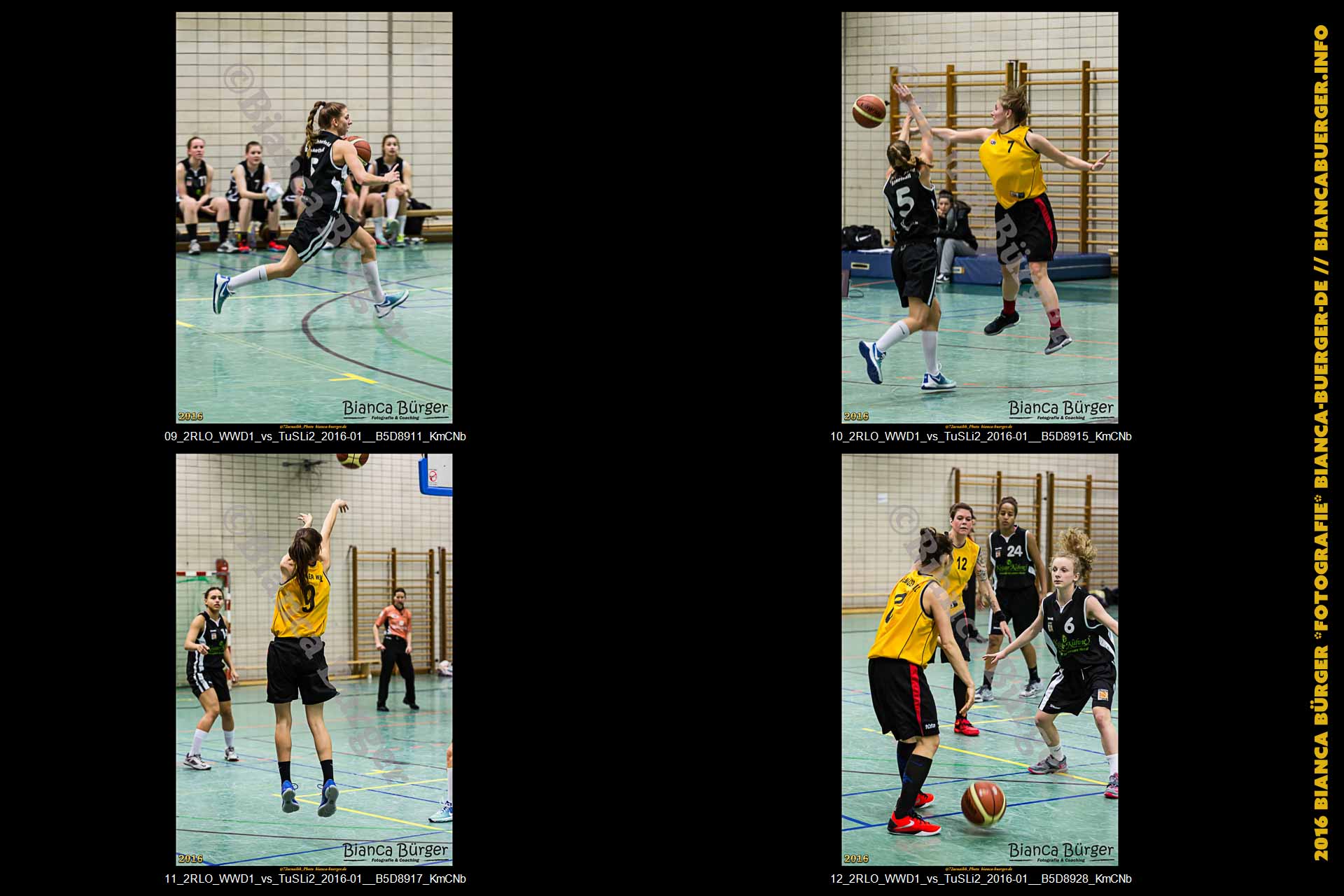 2. RLO - 1. Damen Weddinger Wiesel vs TuS Lichterfelde 2 (Basketball)