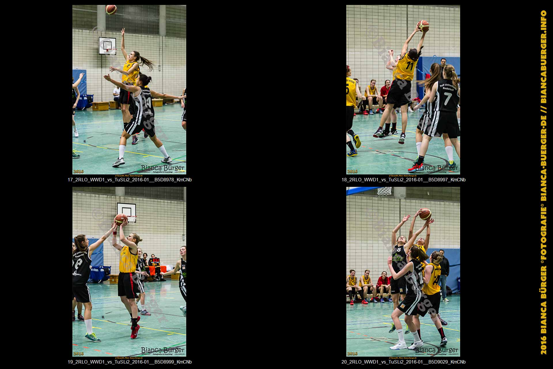 2. RLO - 1. Damen Weddinger Wiesel vs TuS Lichterfelde 2 (Basketball)