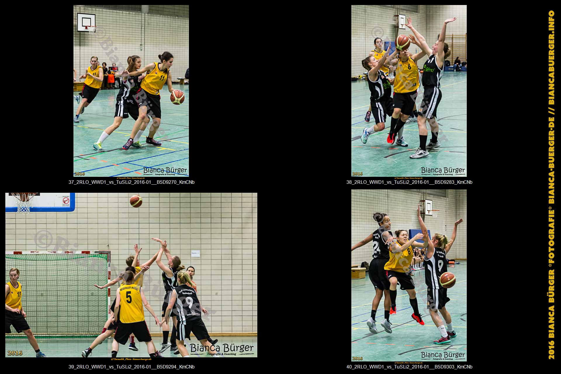 2. RLO - 1. Damen Weddinger Wiesel vs TuS Lichterfelde 2 (Basketball)