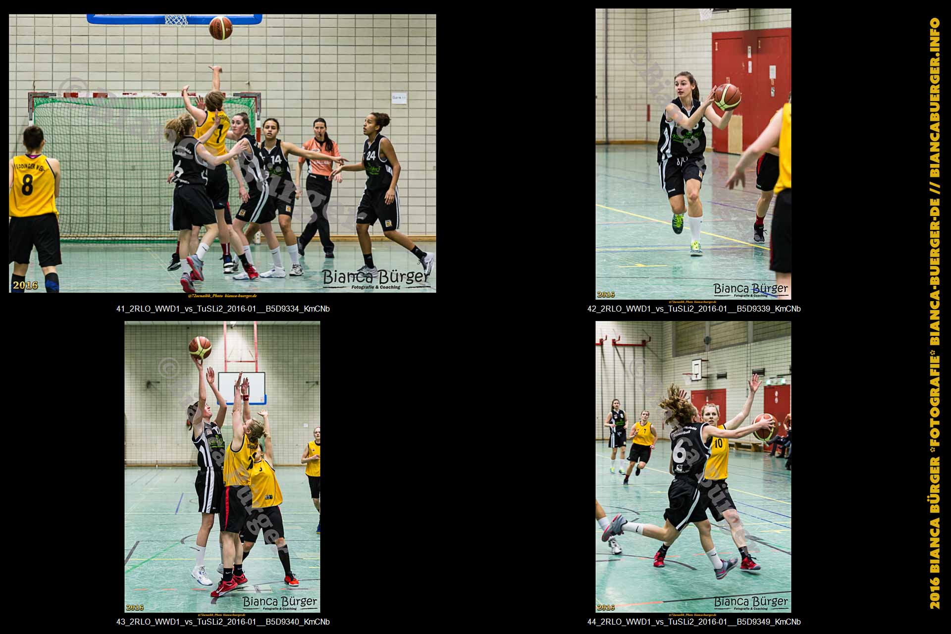2. RLO - 1. Damen Weddinger Wiesel vs TuS Lichterfelde 2 (Basketball)