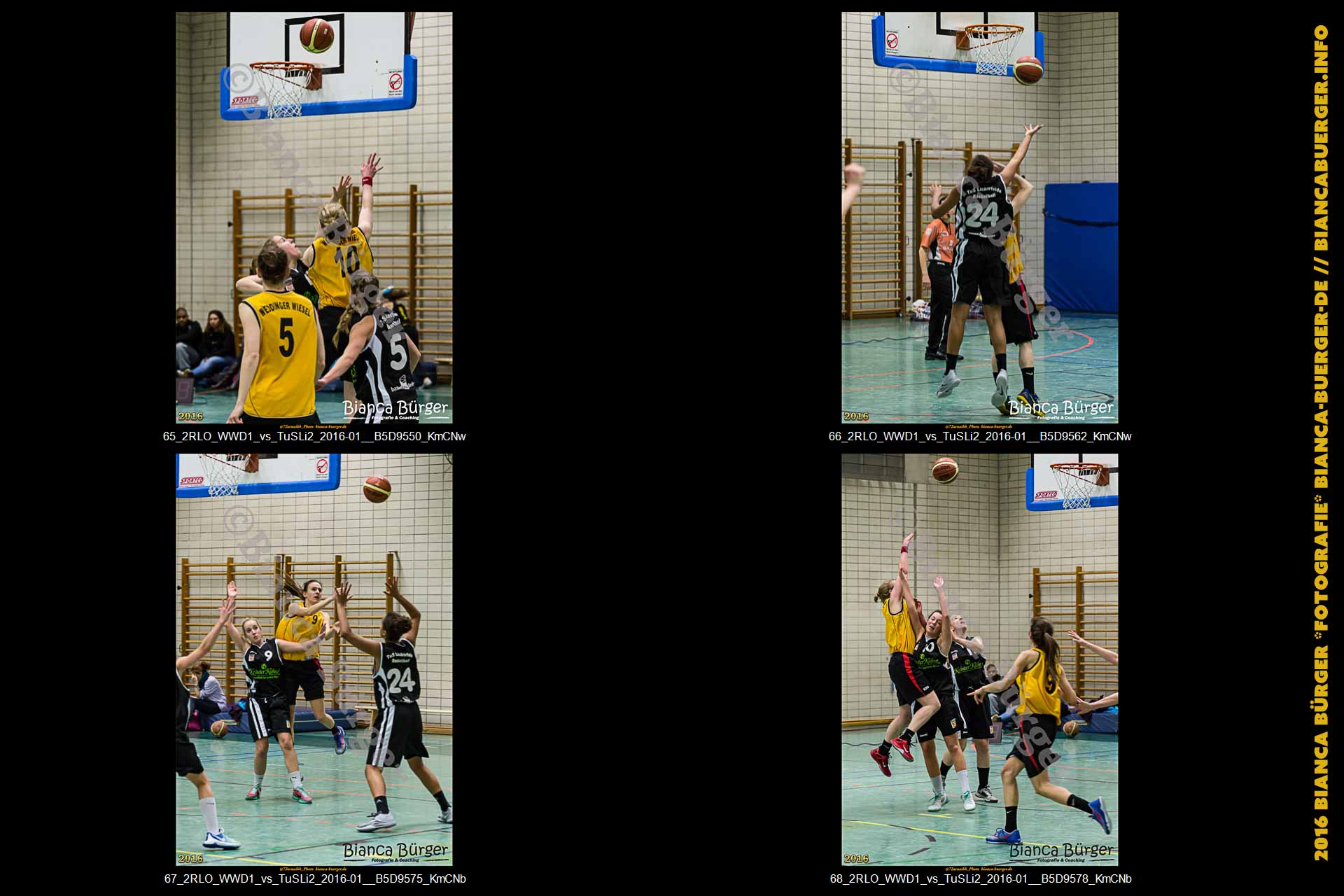 2. RLO - 1. Damen Weddinger Wiesel vs TuS Lichterfelde 2 (Basketball)