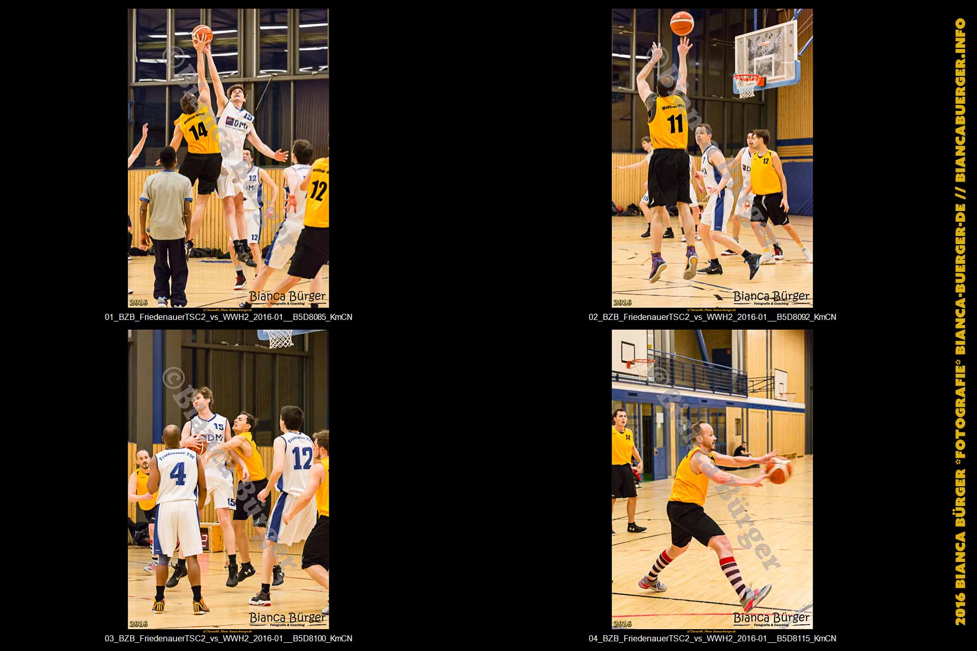 BZB Friedenauer TSC2 vs 2. Herren Weddinger Wiesel (Basketball)