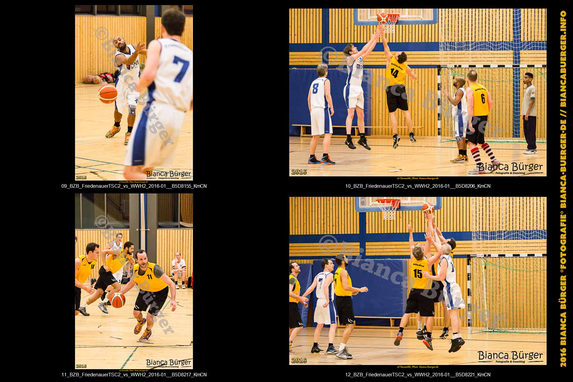 BZB Friedenauer TSC2 vs 2. Herren Weddinger Wiesel (Basketball)