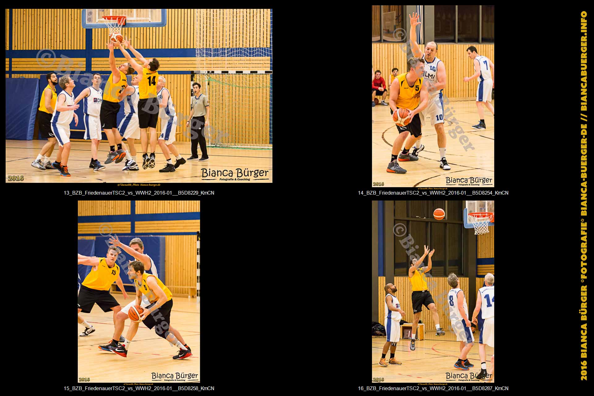 BZB Friedenauer TSC2 vs 2. Herren Weddinger Wiesel (Basketball)