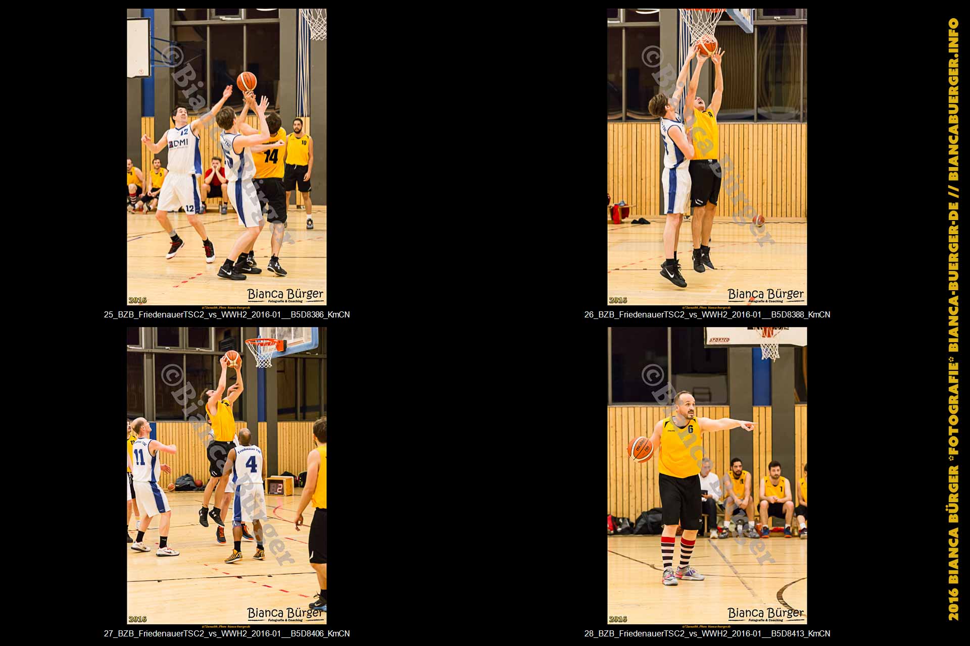BZB Friedenauer TSC2 vs 2. Herren Weddinger Wiesel (Basketball)