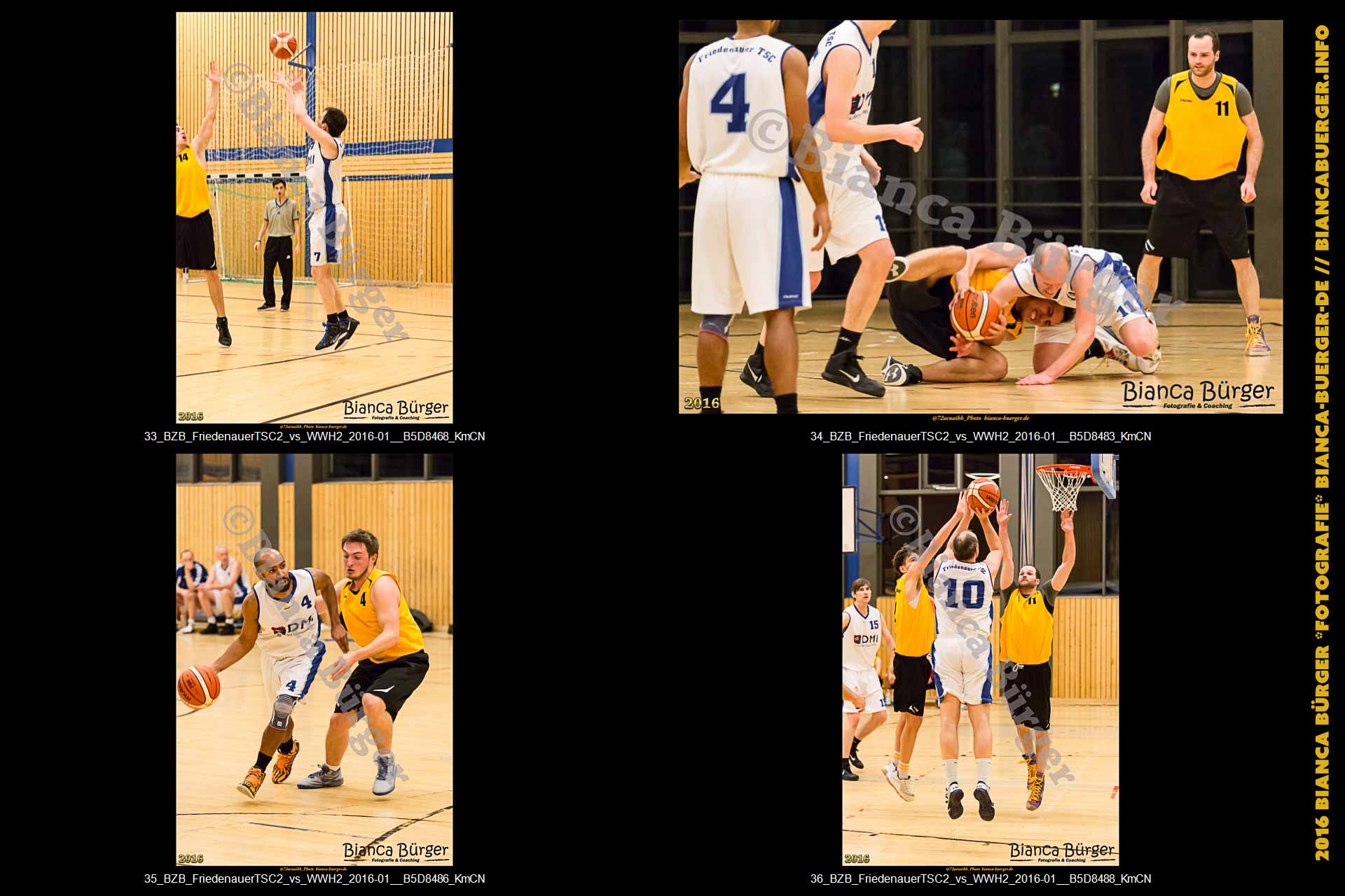 BZB Friedenauer TSC2 vs 2. Herren Weddinger Wiesel (Basketball)