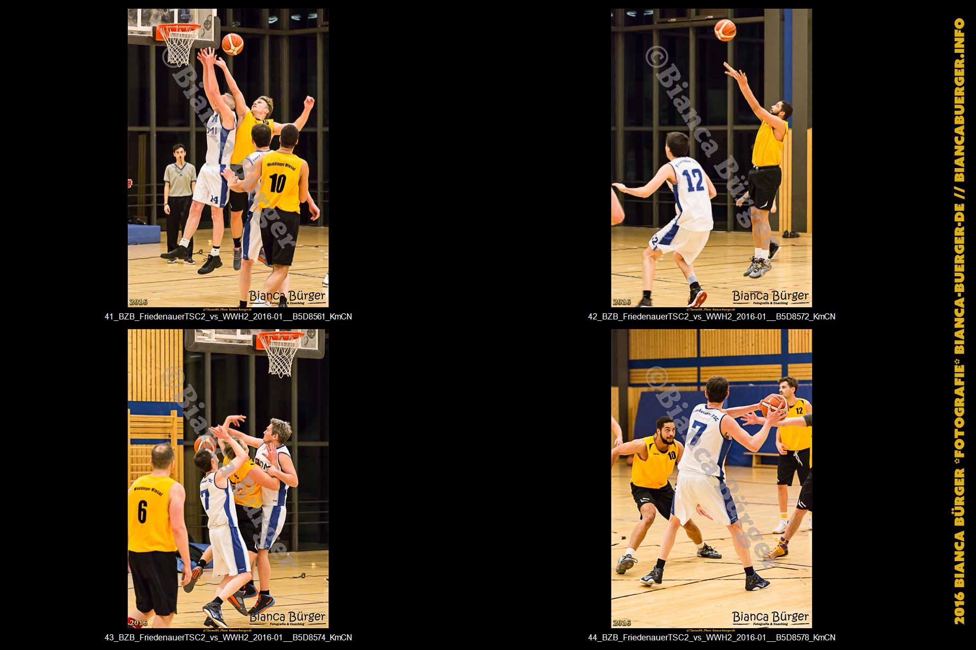 BZB Friedenauer TSC2 vs 2. Herren Weddinger Wiesel (Basketball)