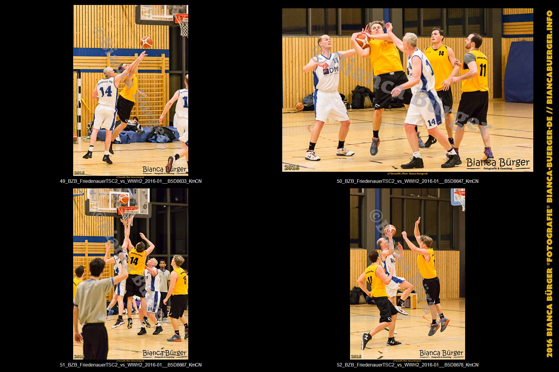 BZB Friedenauer TSC2 vs 2. Herren Weddinger Wiesel (Basketball)