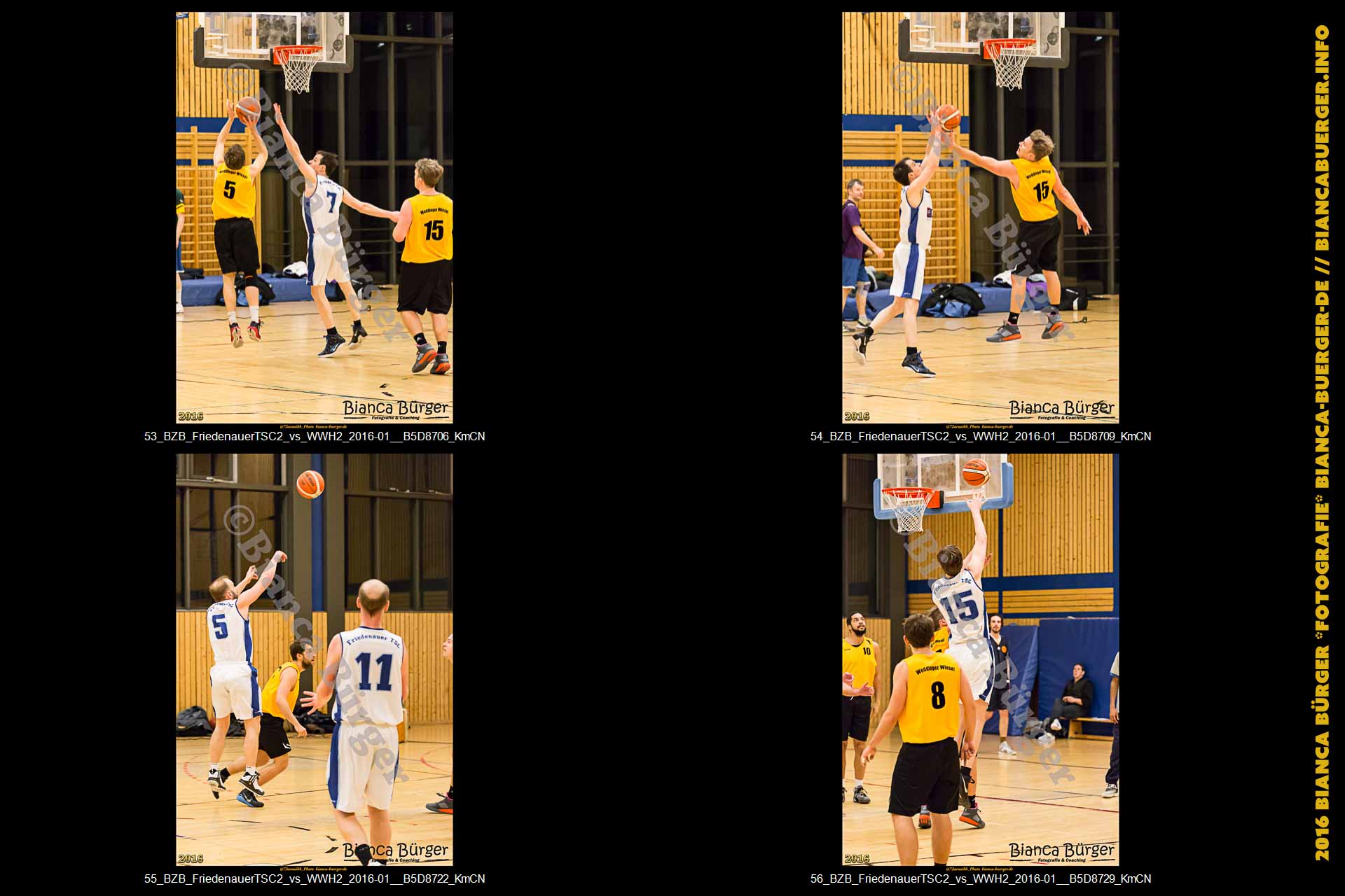 BZB Friedenauer TSC2 vs 2. Herren Weddinger Wiesel (Basketball)