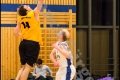 BZB Friedenauer TSC2 vs 2. Herren Weddinger Wiesel (Basketball) BZB Friedenauer TSC2 vs 2. Herren Weddinger Wiesel (Basketball)