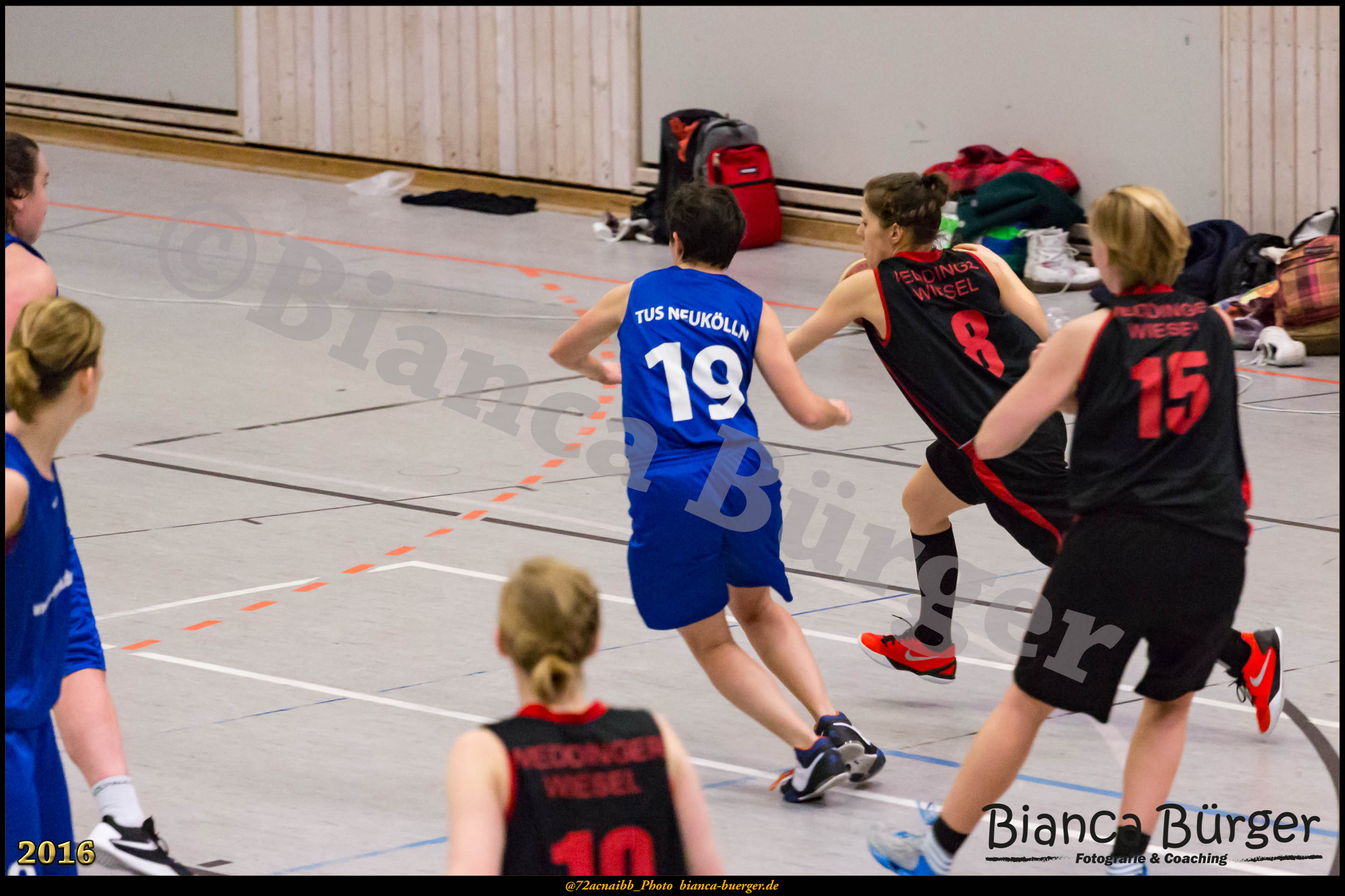 2. RLO - TuS Neukölln vs 1. Damen Weddinger Wiesel (Basketball)