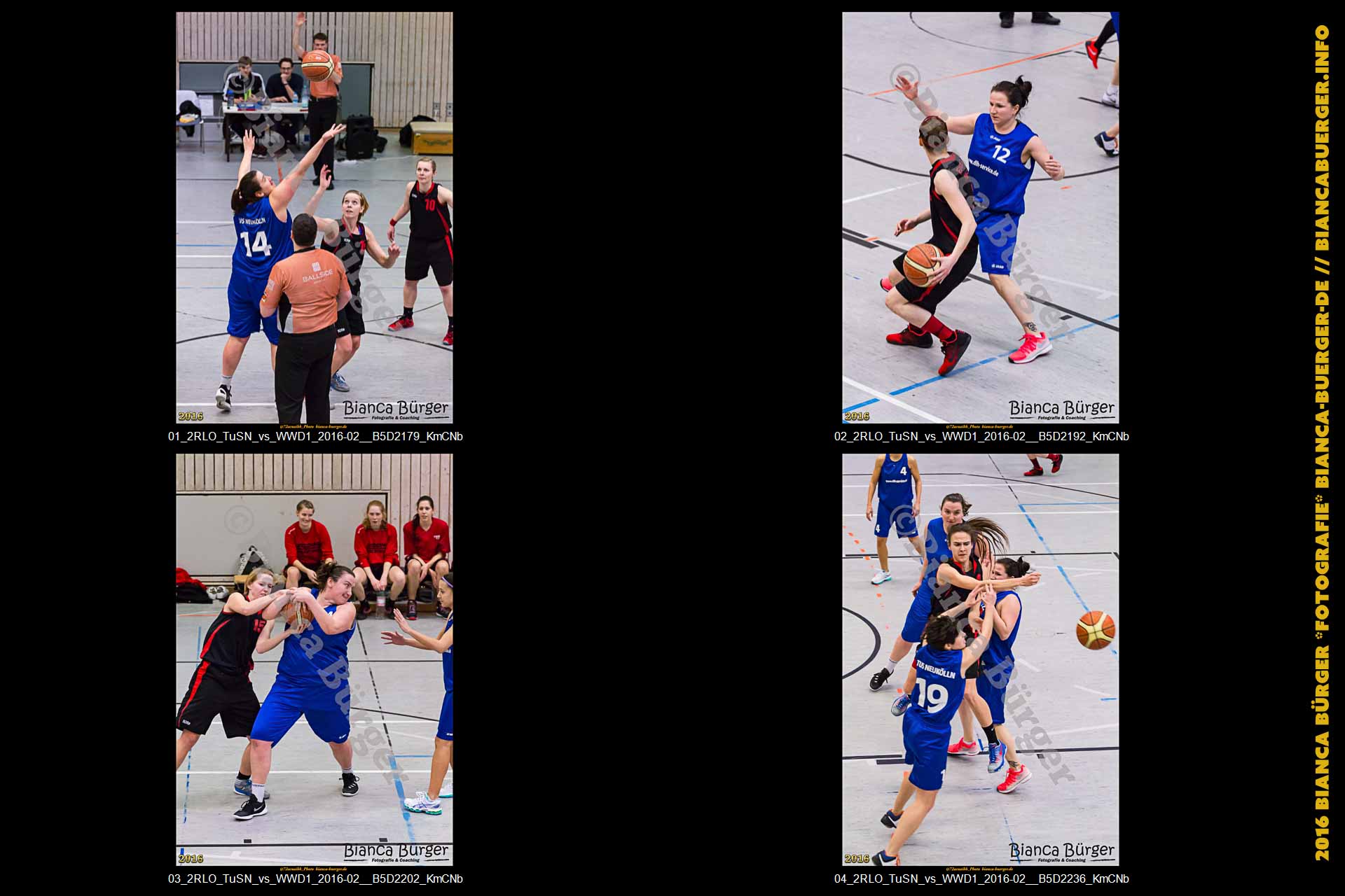 2. RLO - TuS Neukölln vs 1. Damen Weddinger Wiesel (Basketball)