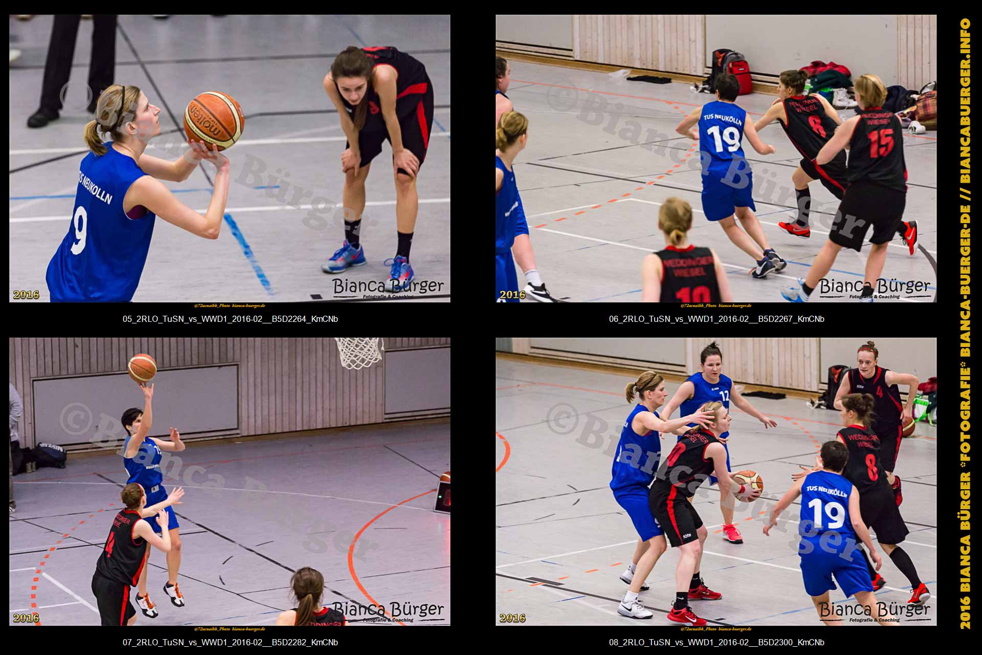 2. RLO - TuS Neukölln vs 1. Damen Weddinger Wiesel (Basketball)