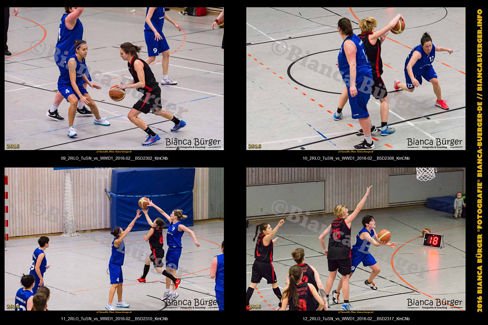 2. RLO - TuS Neukölln vs 1. Damen Weddinger Wiesel (Basketball)