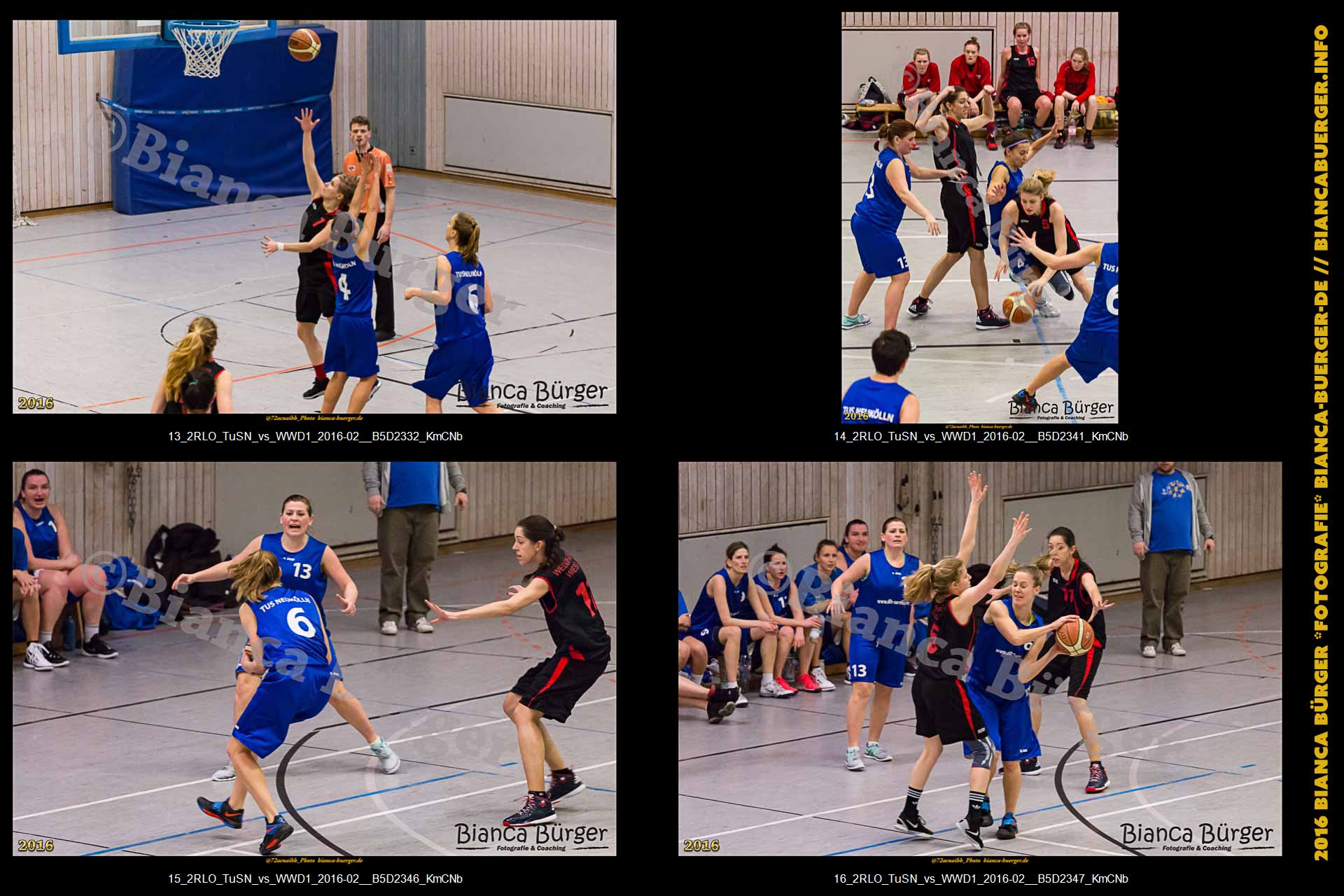 2. RLO - TuS Neukölln vs 1. Damen Weddinger Wiesel (Basketball)
