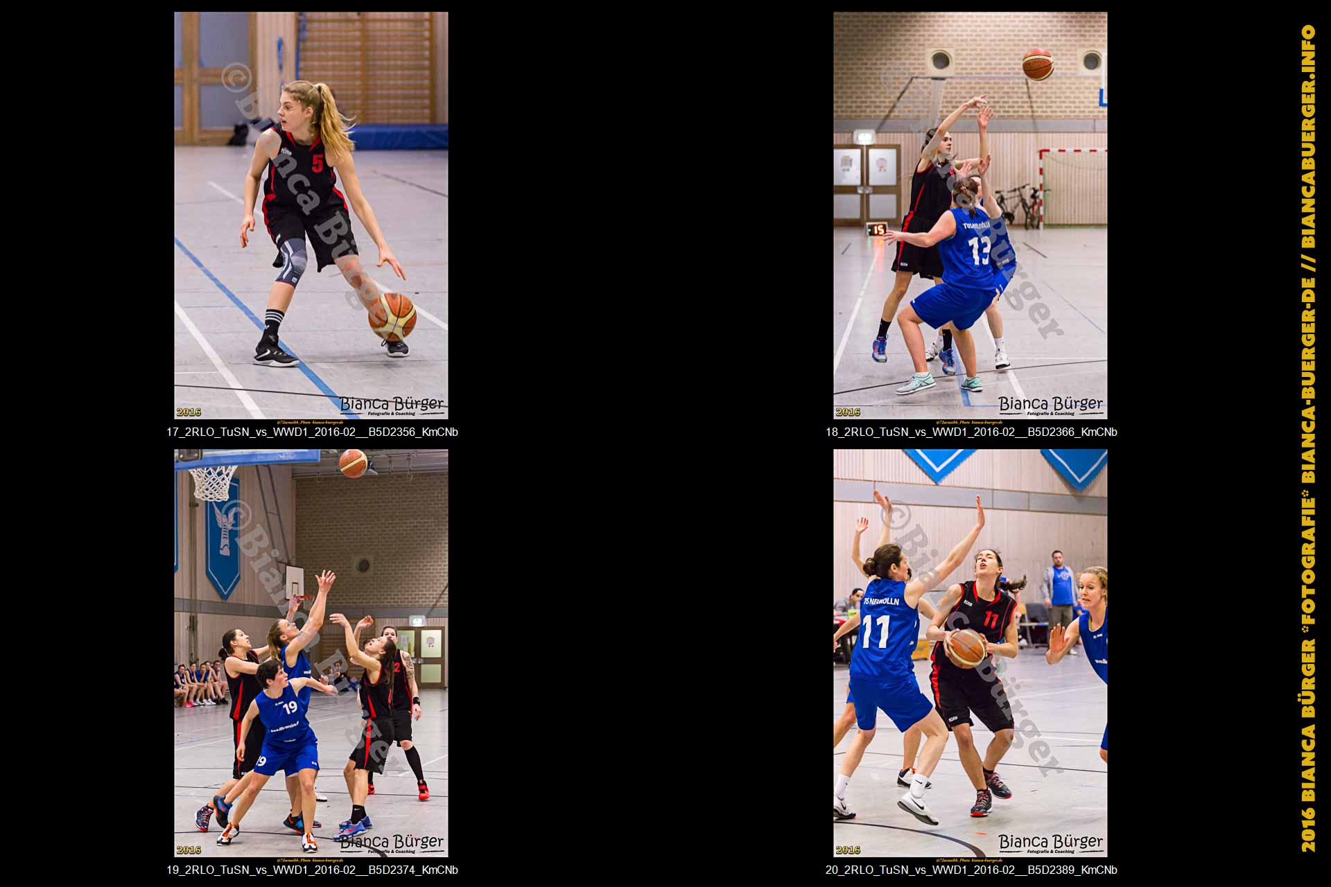 2. RLO - TuS Neukölln vs 1. Damen Weddinger Wiesel (Basketball)