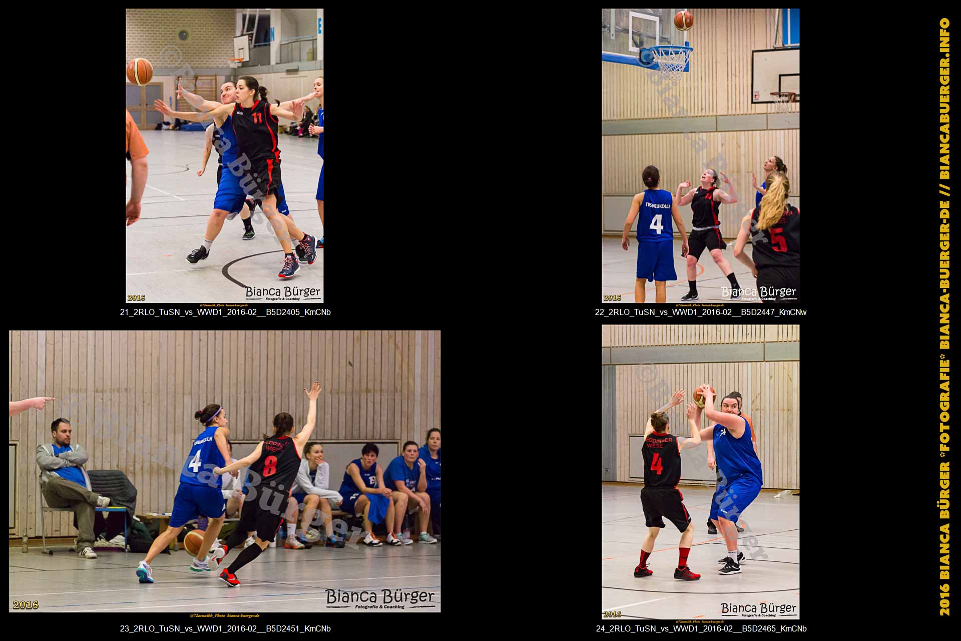 2. RLO - TuS Neukölln vs 1. Damen Weddinger Wiesel (Basketball)
