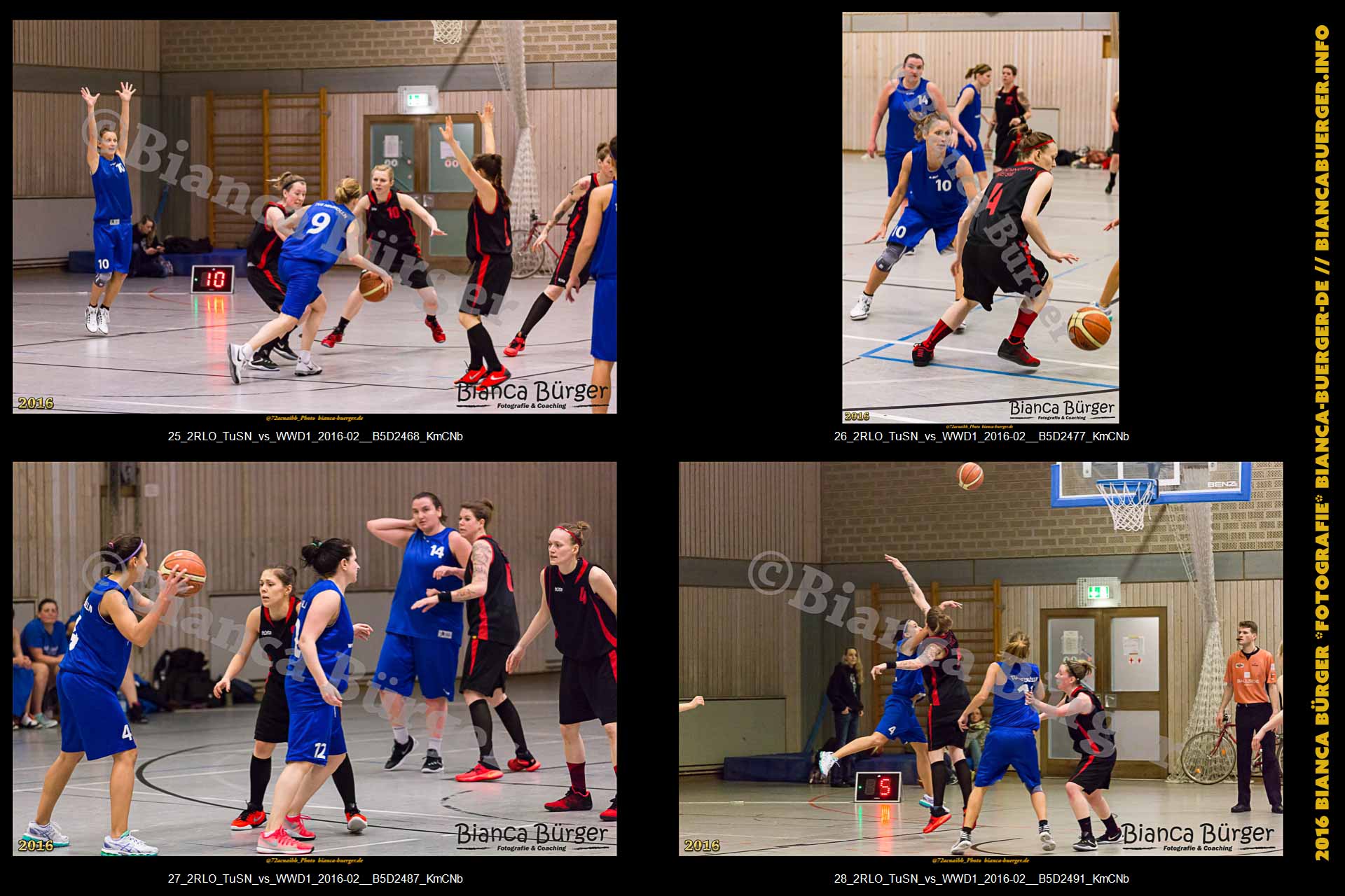 2. RLO - TuS Neukölln vs 1. Damen Weddinger Wiesel (Basketball)