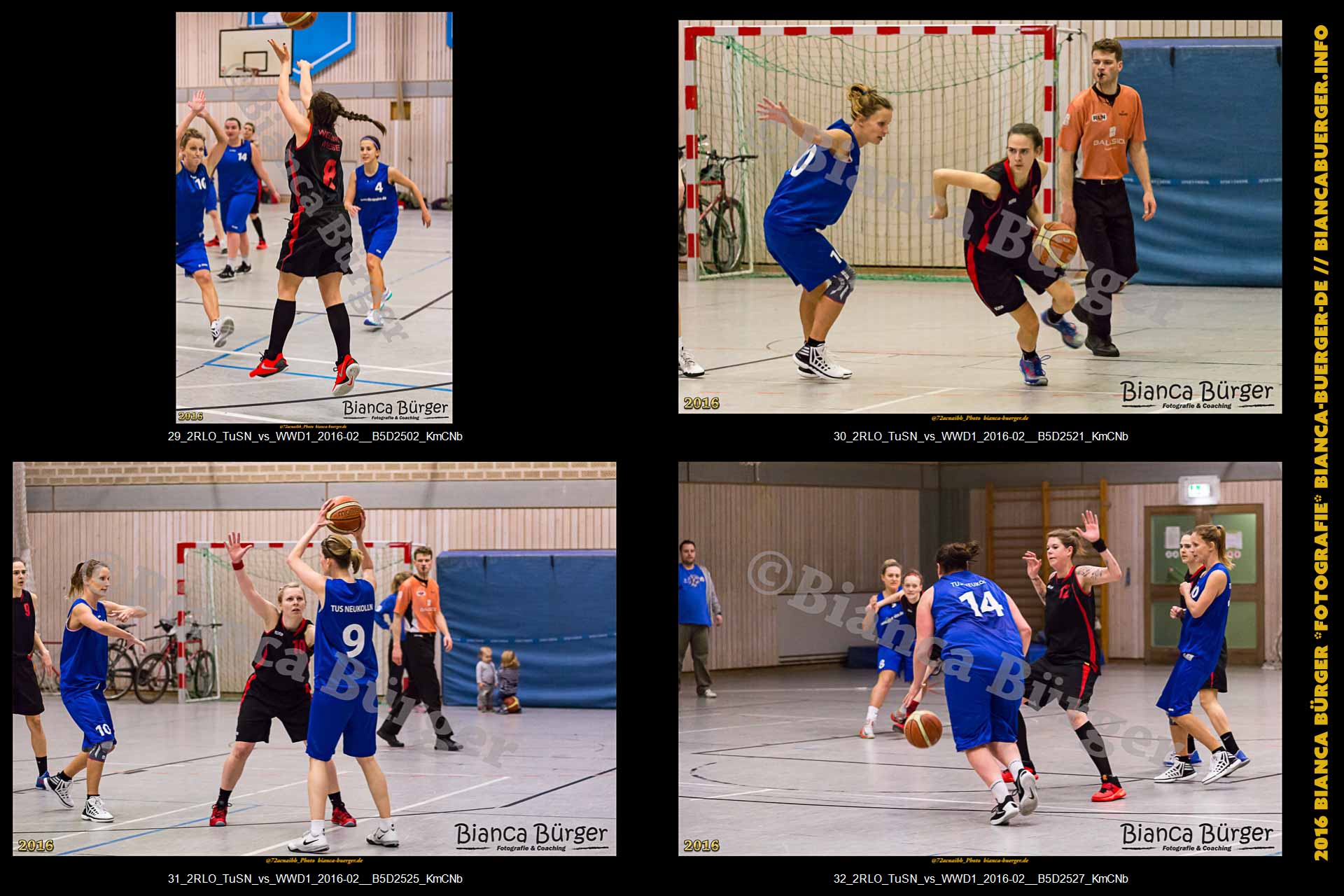 2. RLO - TuS Neukölln vs 1. Damen Weddinger Wiesel (Basketball)