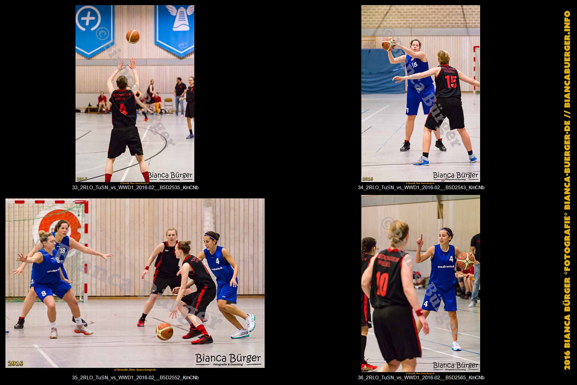 2. RLO - TuS Neukölln vs 1. Damen Weddinger Wiesel (Basketball)