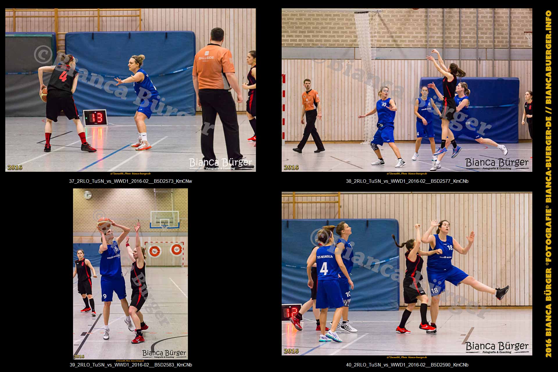 2. RLO - TuS Neukölln vs 1. Damen Weddinger Wiesel (Basketball)