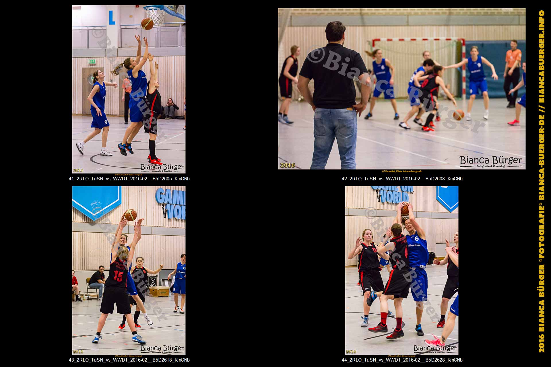2. RLO - TuS Neukölln vs 1. Damen Weddinger Wiesel (Basketball)