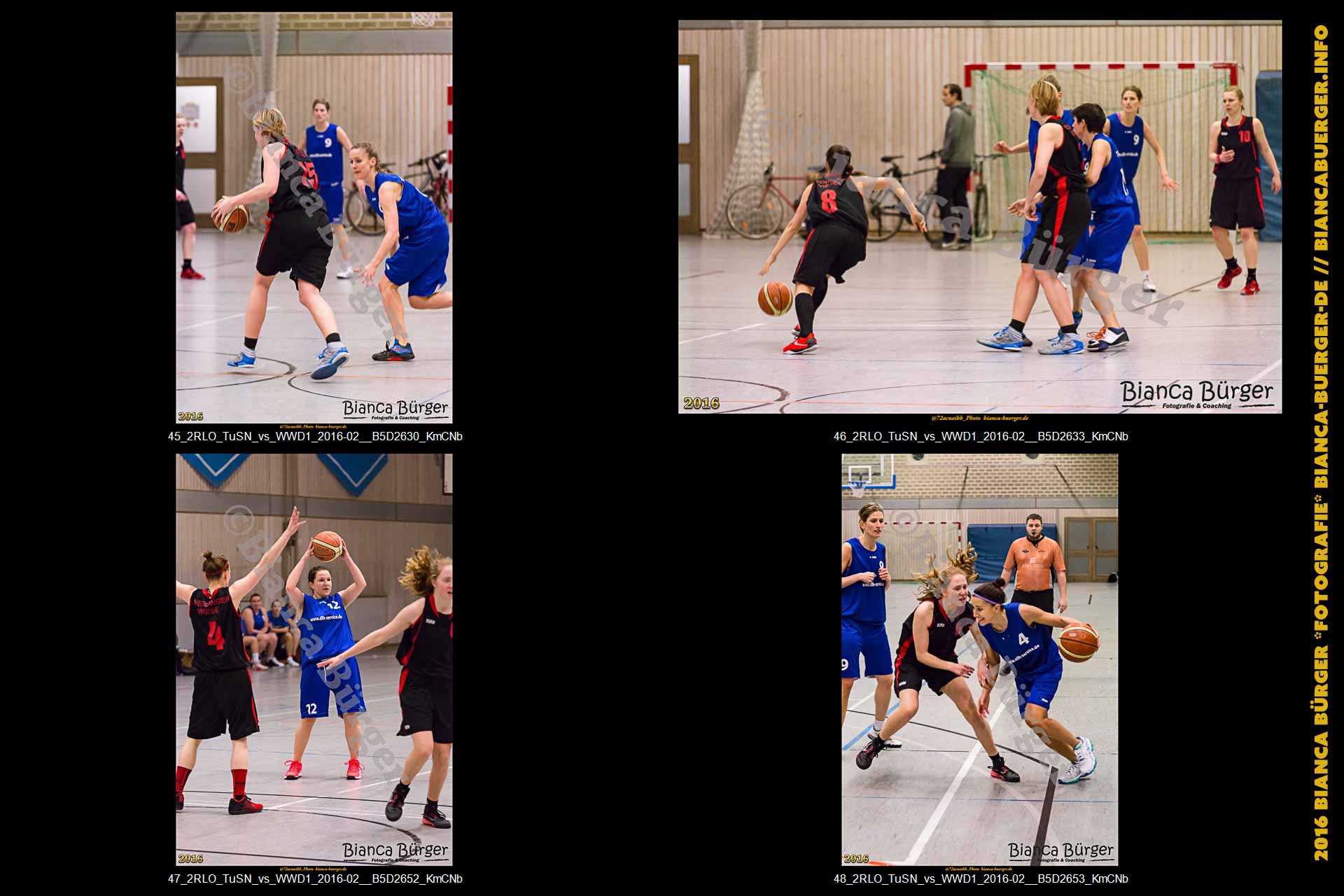 2. RLO - TuS Neukölln vs 1. Damen Weddinger Wiesel (Basketball)