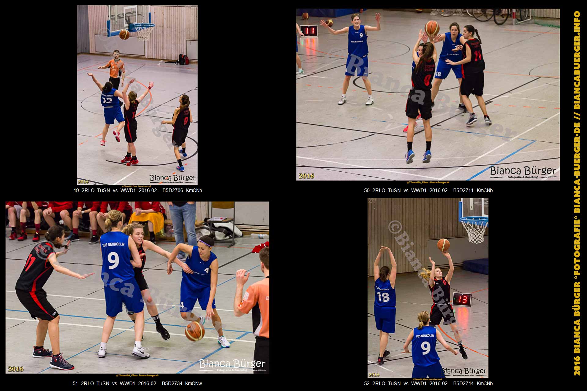 2. RLO - TuS Neukölln vs 1. Damen Weddinger Wiesel (Basketball)