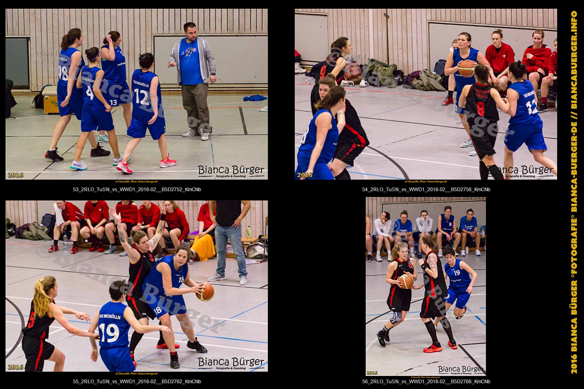 2. RLO - TuS Neukölln vs 1. Damen Weddinger Wiesel (Basketball)