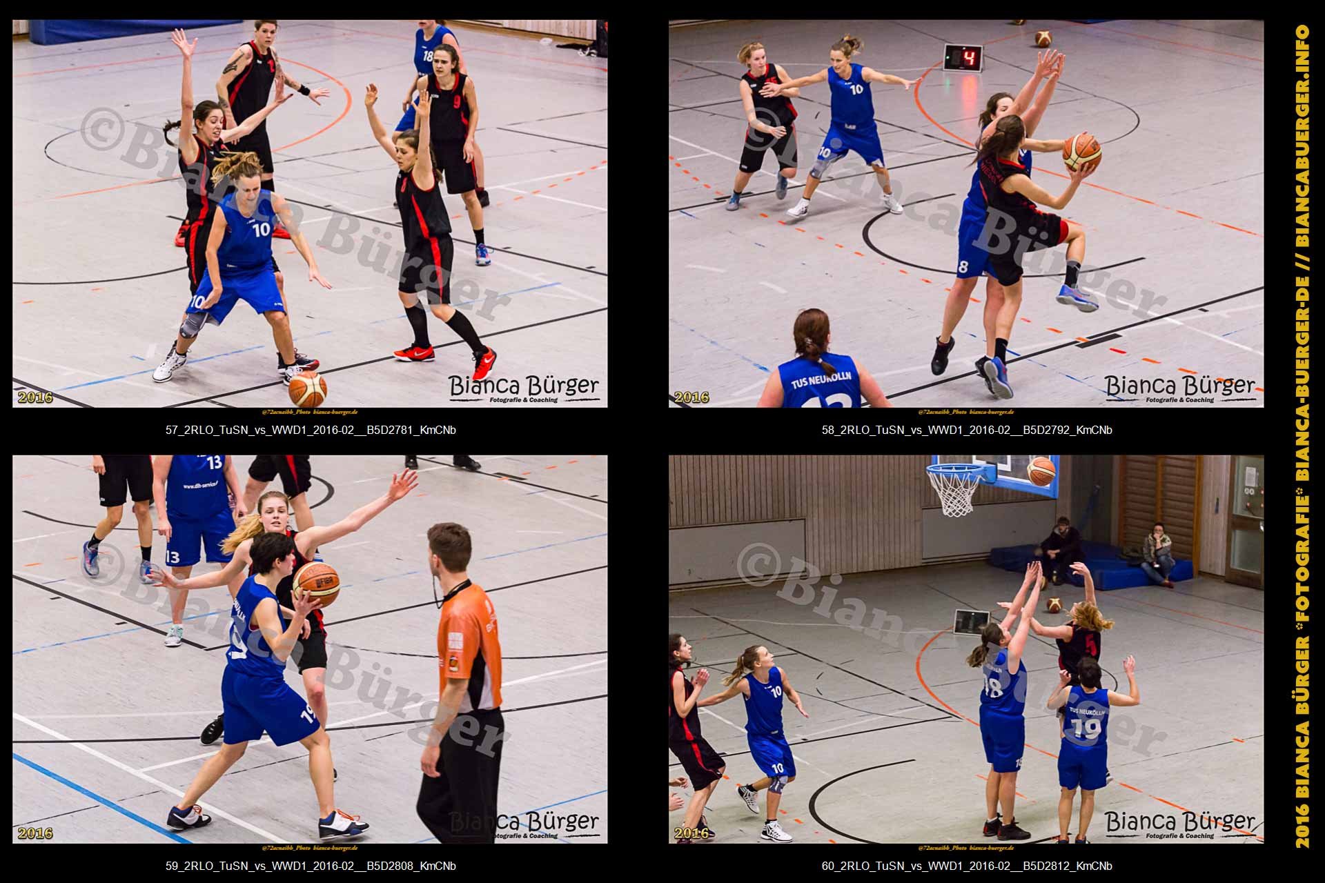 2. RLO - TuS Neukölln vs 1. Damen Weddinger Wiesel (Basketball)