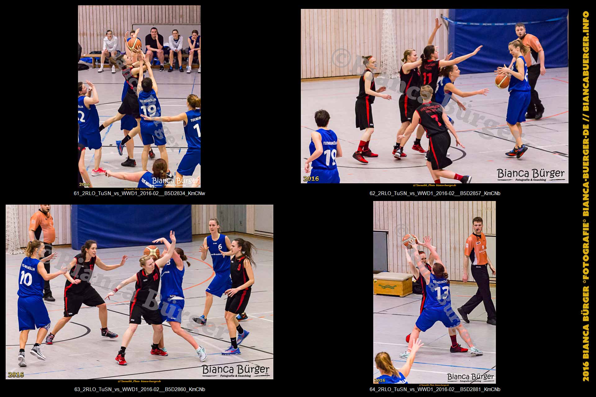 2. RLO - TuS Neukölln vs 1. Damen Weddinger Wiesel (Basketball)