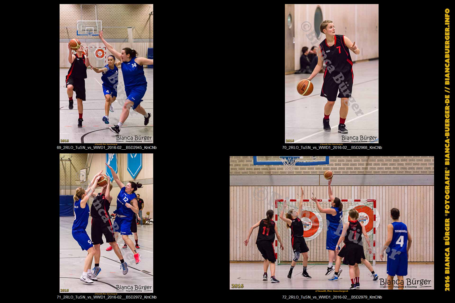 2. RLO - TuS Neukölln vs 1. Damen Weddinger Wiesel (Basketball)