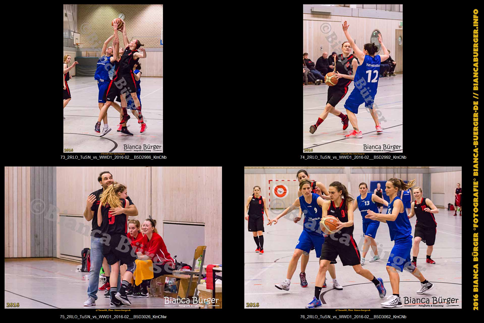 2. RLO - TuS Neukölln vs 1. Damen Weddinger Wiesel (Basketball)