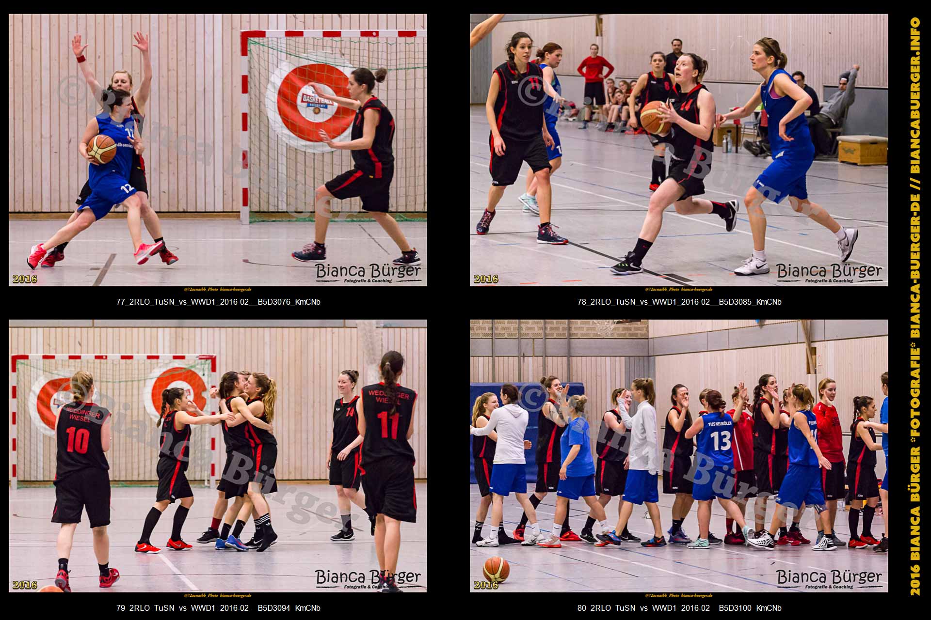 2. RLO - TuS Neukölln vs 1. Damen Weddinger Wiesel (Basketball)