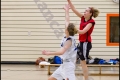 LLA - 2. Damen Weddinger Wiesel vs Berlin Tiger (Basketball) LLA - 2. Damen Weddinger Wiesel vs Berlin Tiger (Basketball)