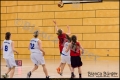 LLA - 2. Damen Weddinger Wiesel vs Berlin Tiger (Basketball) LLA - 2. Damen Weddinger Wiesel vs Berlin Tiger (Basketball)