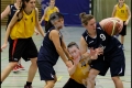 2RLO - 1. Damen Weddinger Wiesel vs BG Zehlendorf 2 (Basketball) 2RLO - 1. Damen Weddinger Wiesel vs BG Zehlendorf 2 (Basketball)
