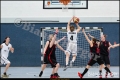 2RLO - JUSTABS Halle vs 1. Damen Weddinger Wiesel (Basketball) 2RLO - JUSTABS Halle vs 1. Damen Weddinger Wiesel (Basketball)