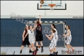 2RLO - JUSTABS Halle vs 1. Damen Weddinger Wiesel (Basketball) 2RLO - JUSTABS Halle vs 1. Damen Weddinger Wiesel (Basketball)